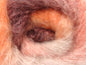 Bella Mohair