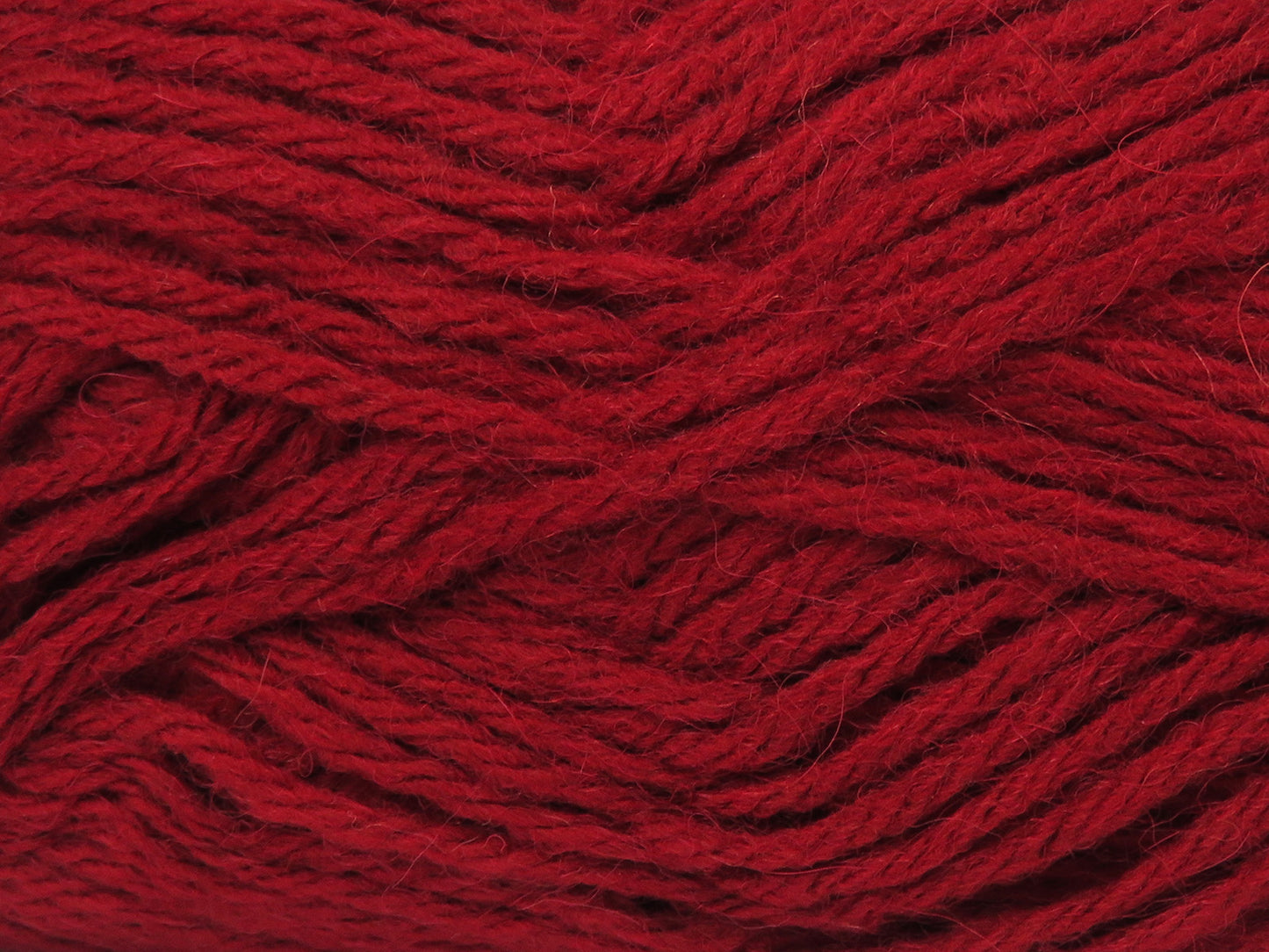 Zerda Alpaca
