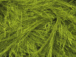 Green 2
