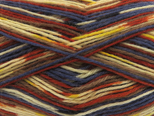 Sock Varicolor