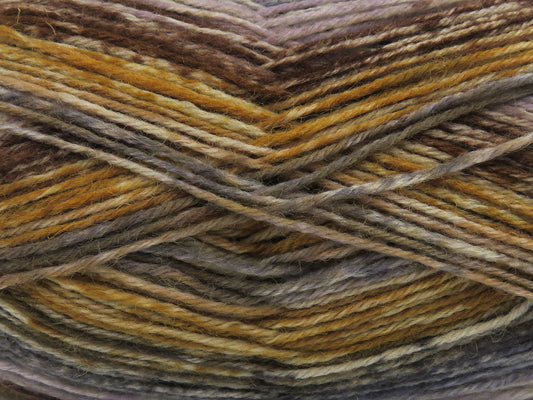 Sock Varicolor