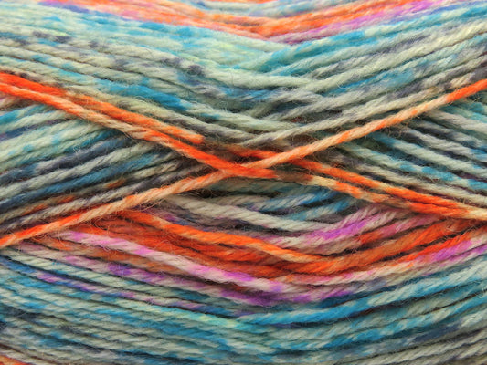 Sock Varicolor