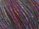 Ice Yarns Wool Varicolor Worsted – Multicolor – 25% Wool, 75% Acrylic