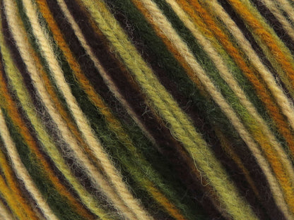 Wool Varicolor Worsted