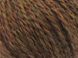 Brown Shades