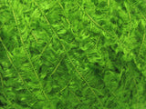 Ice Yarns Viscose Fur – Yeşil – %90 Viskon, %10 Polyamid