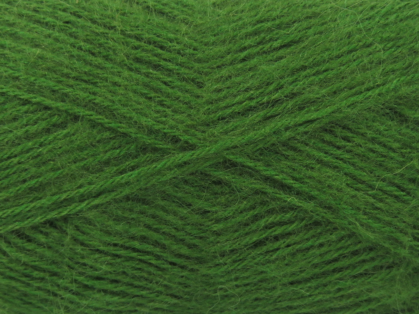 Angora