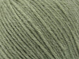 Light Water Green