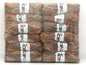 Mixed Lot Multicolor Multicolor Sock Yarns