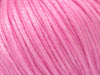 Rose bébé