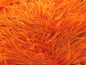 Eyelash 100gr
