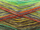 Ice Yarns Sock Spray – Tonos de Verde, Naranja, Azul, Gris, Marrón – 75 % Lana Superwash, 25 % Poliamida