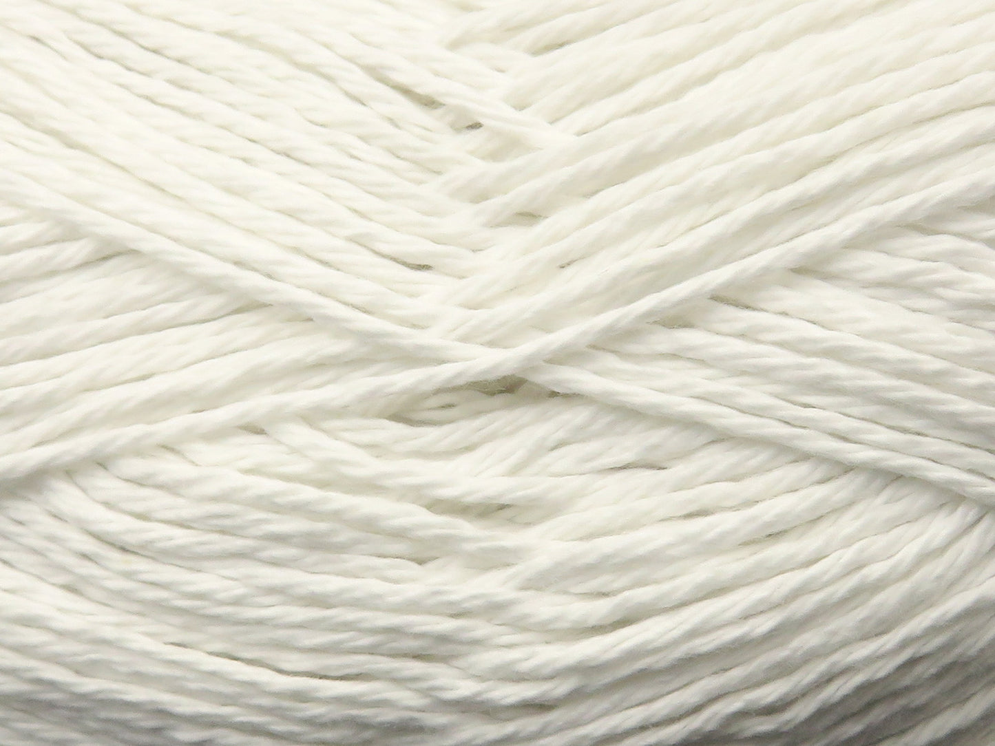 Patna Cotton