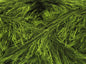 Eyelash 100gr