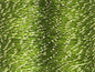 Camellia Spool 2x50 gr