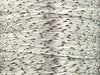 White, Silver