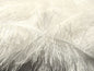 Eyelash Dazzle