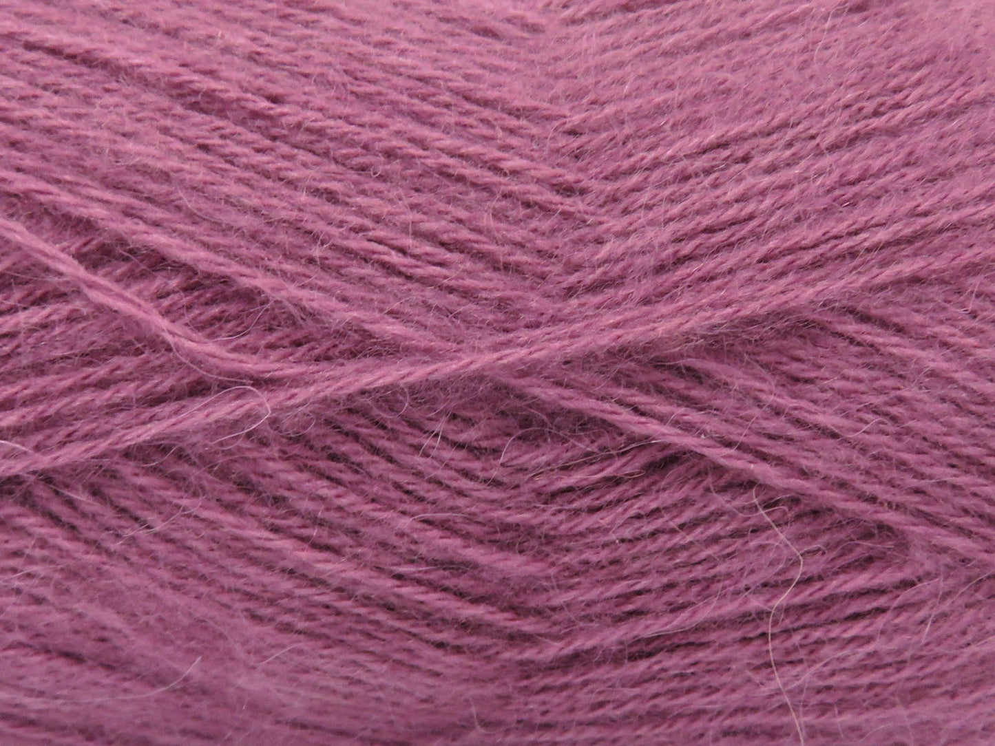 Angora