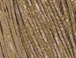 Fettuccine