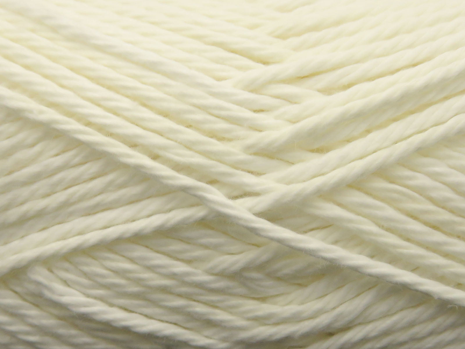 Patna Cotton