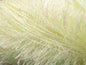 Eyelash Glitz