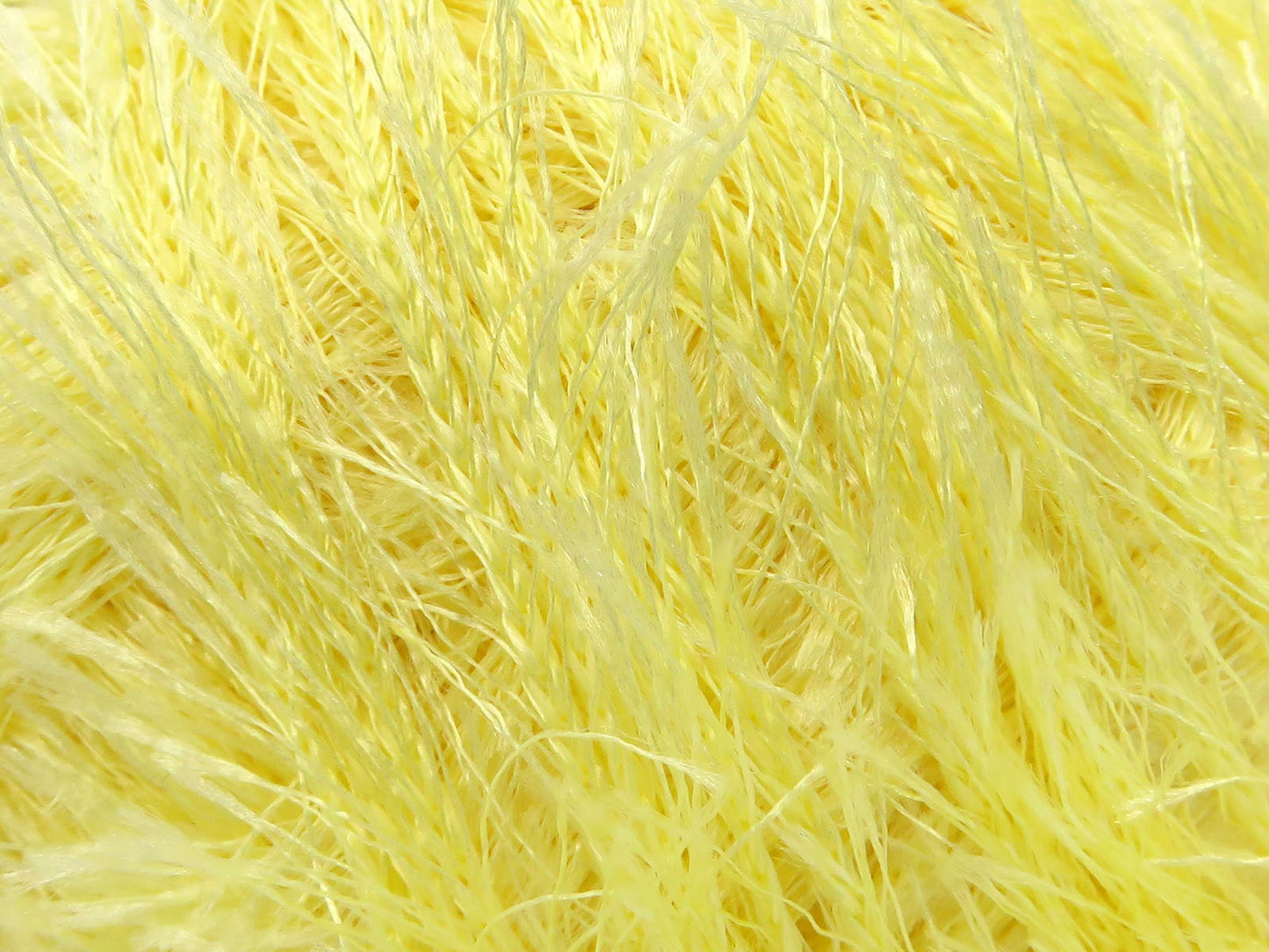 Eyelash