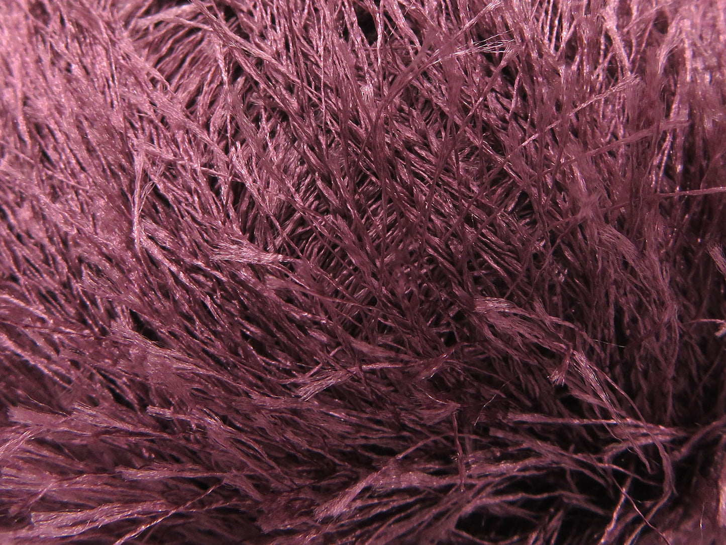 Eyelash