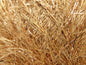 Eyelash Dazzle 50gr