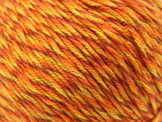 Colorful Vista