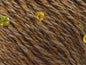 Paillette Cotton