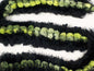 Shawl