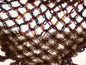 Shawl