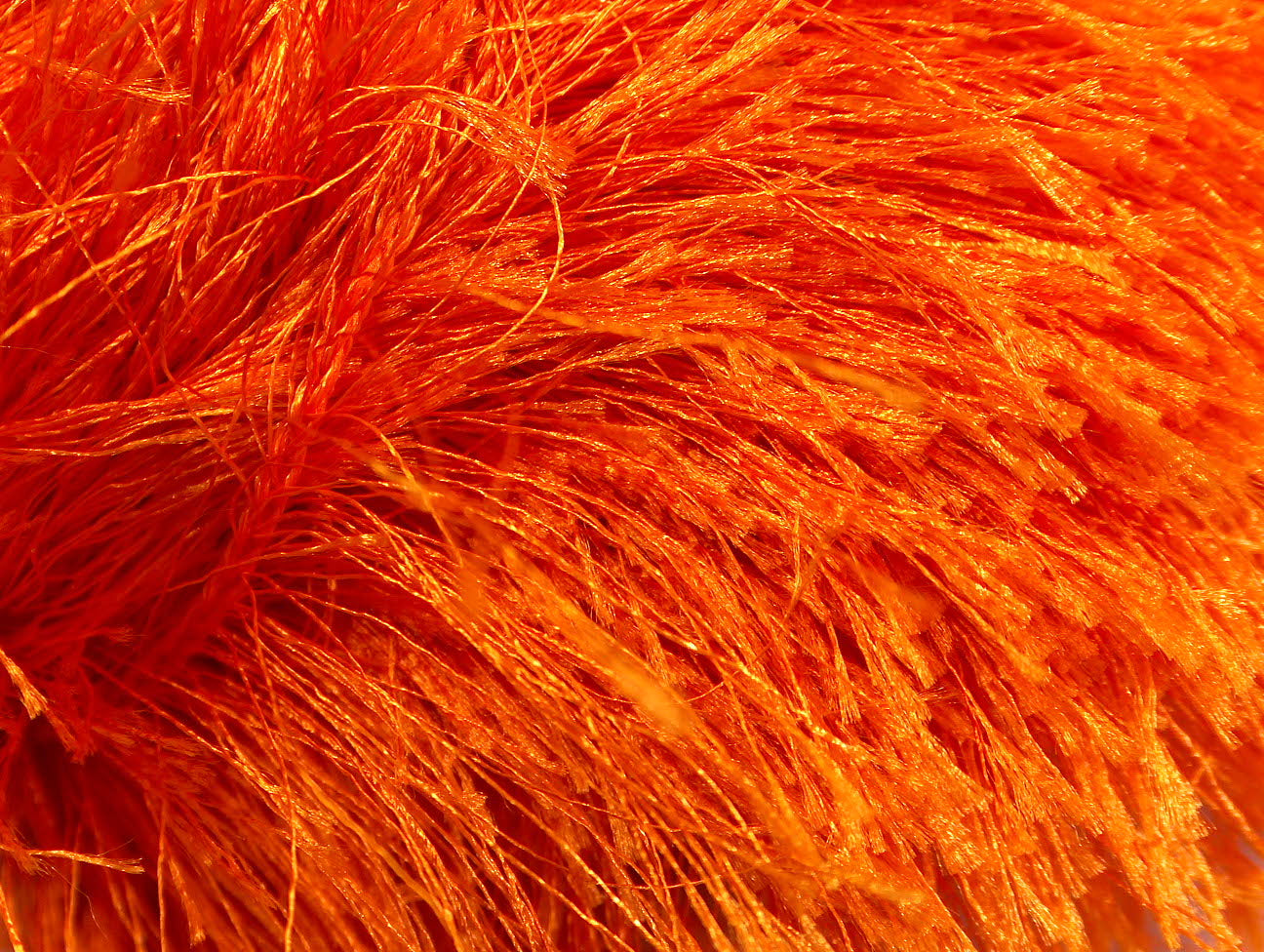 Long Eyelash Orange Sku:fnt2-13269