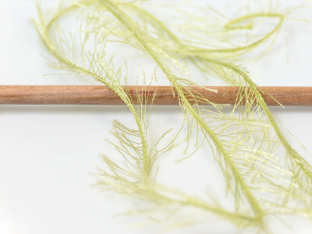 Eyelash Apple Green