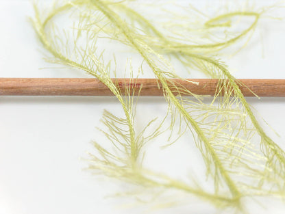 Eyelash Apple Green