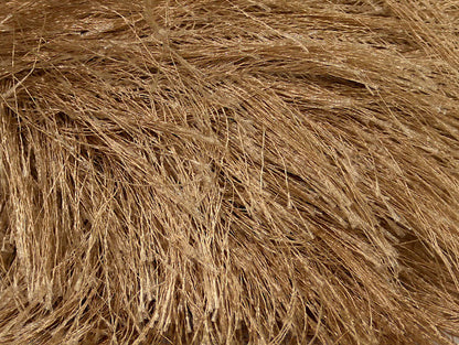 Long Eyelash Camel Sku:fnt2-42067