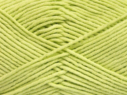 Lorena Worsted Light Green Sku:fnt2-51431