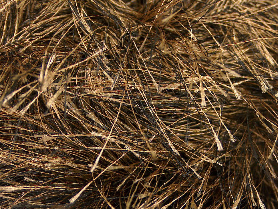 Long Eyelash Camel, Black Sku:fnt2-52770