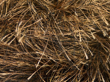 Long Eyelash Camel, Black Sku:fnt2-52770