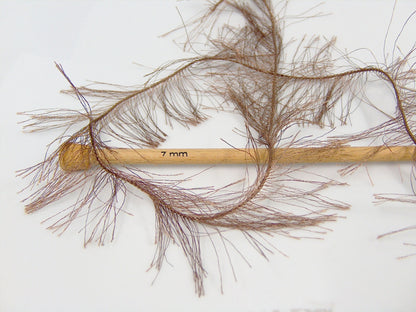 Long Eyelash Brown Sku:fnt2-66777