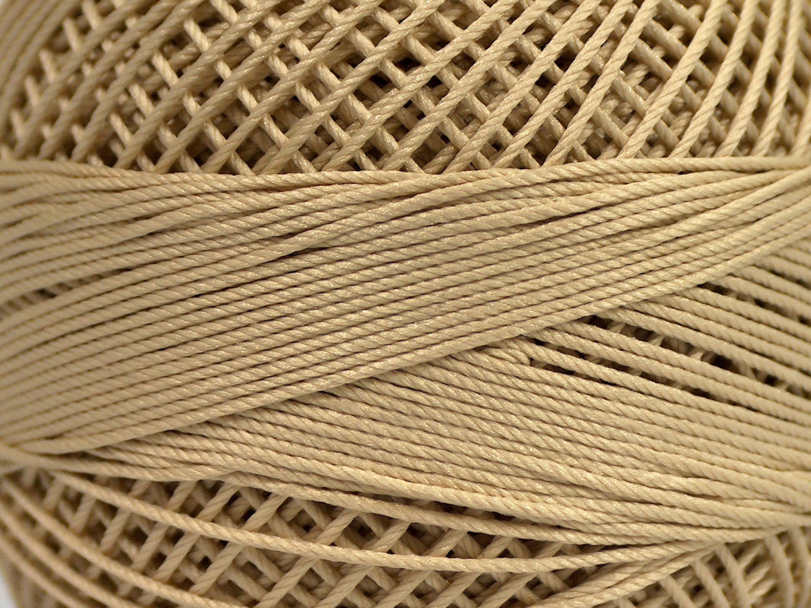 Crafty Camel fnt2-68664