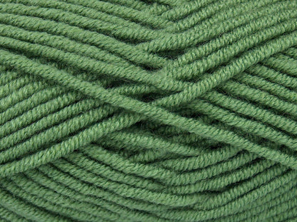 Classic Wool Bulky Light Hunter Green fnt2-73819