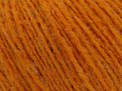 Bambino Merino Orange fnt2-78793