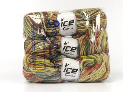 Organic Wool Bulky Hand Paint Rainbow fnt2-78823