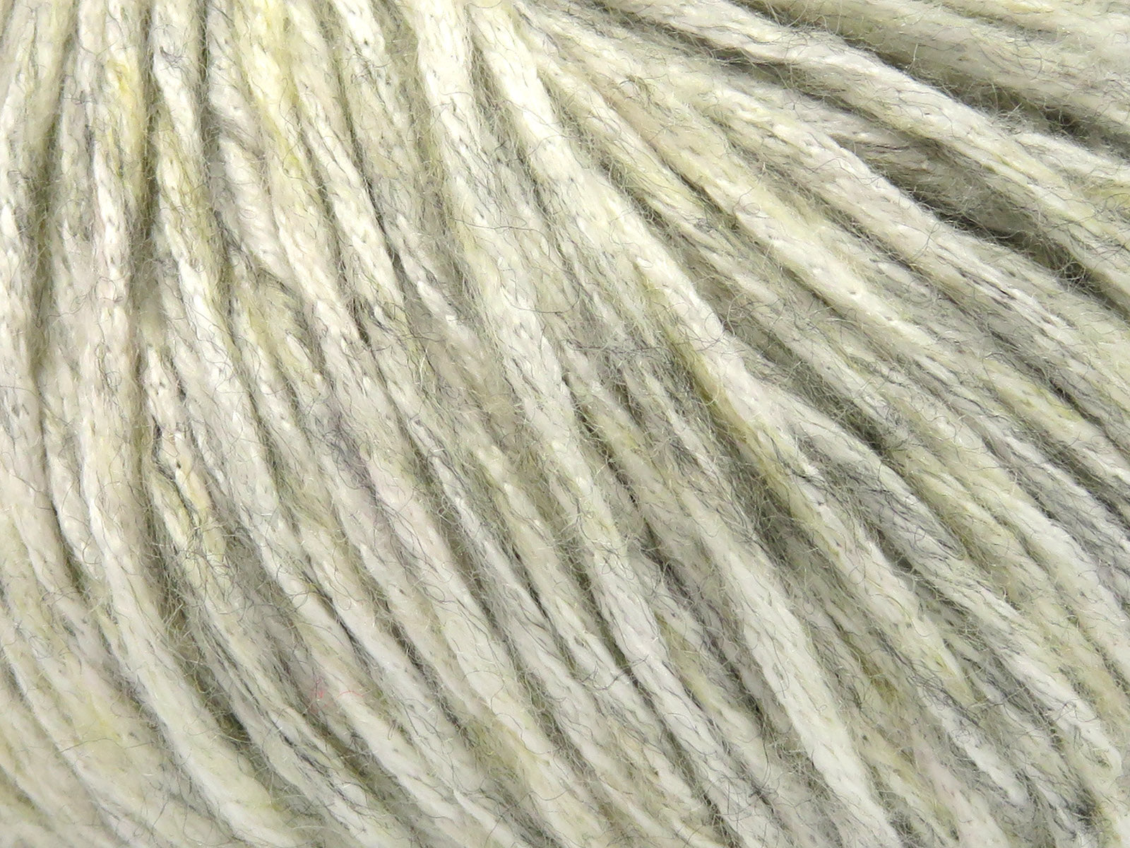 Nautilus Light Grey, Beige, Cream fnt2-81151