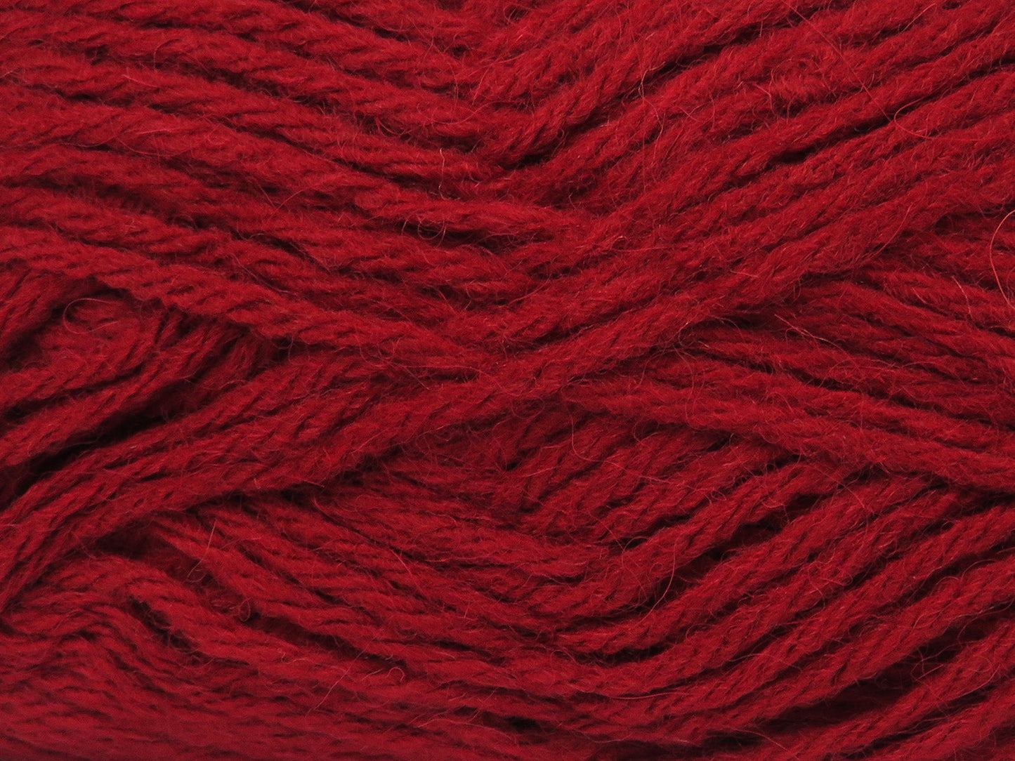 Zerda Alpaca