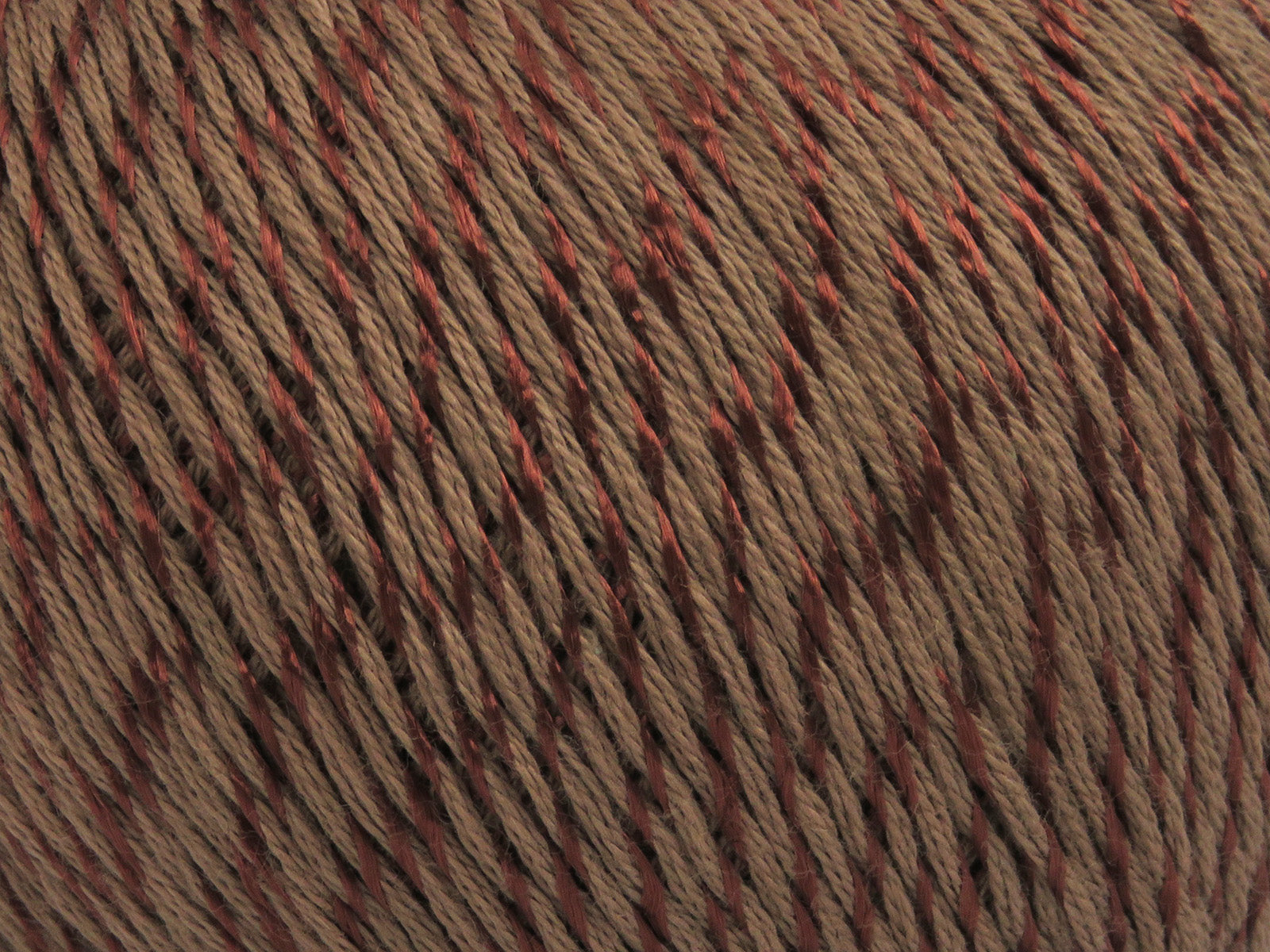 Summer Brown fnt2-81371