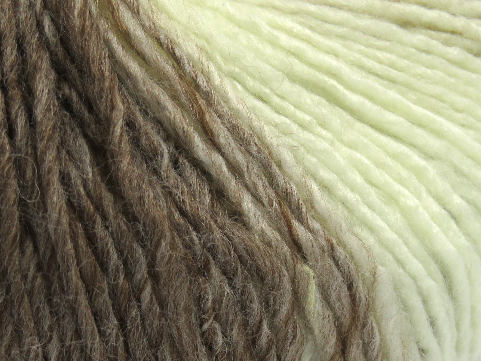Roseto Brown Shades, Cream fnt2-81375