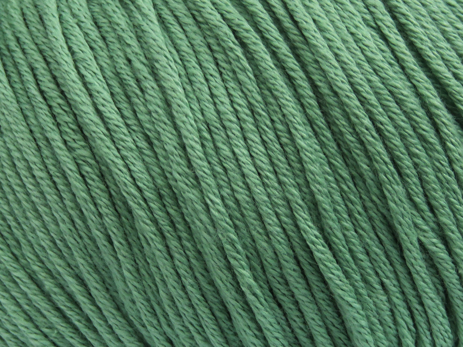 Baby Summer Light Green fnt2-81397