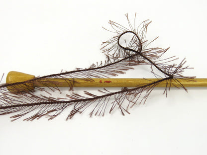 Cakes Eyelash Dark Brown fnt2-81446